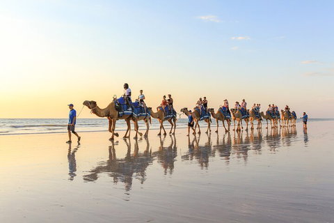1 Hour Broome Sunset Camel Tour - Accommodation Adelaide 5