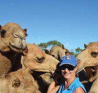 Broome Pre-sunset Camel Tour 30 minutes - Accommodation Adelaide