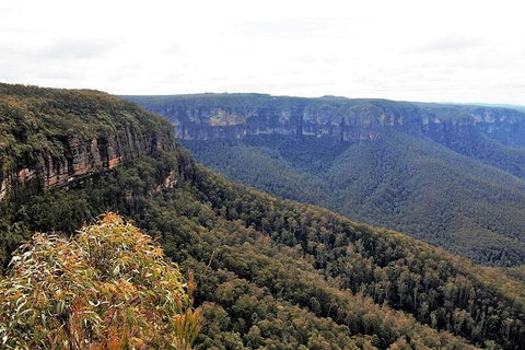 Blue Mountains - Accommodation Adelaide 3