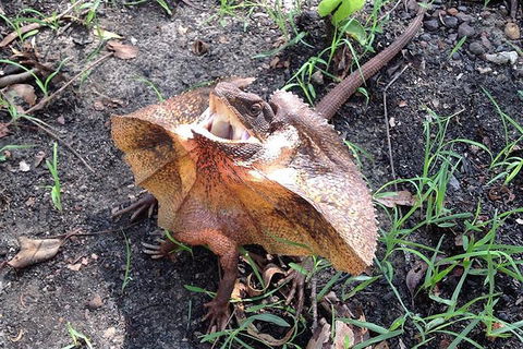 Litchfield National Park And Jumping Crocodile Cruise - Accommodation Adelaide 1