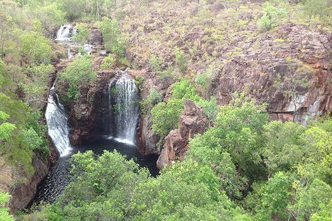 Litchfield National Park And Jumping Crocodile Cruise - Accommodation Adelaide 4