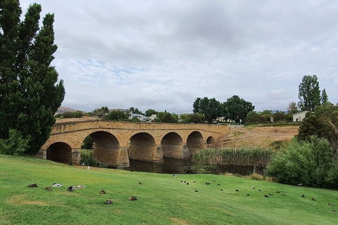 Port Arthur, Richmond And Tasman Peninsula Day Trip From Hobart - Accommodation Adelaide 3