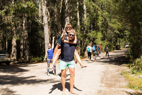 7-Day Best Of Tasmania Adventure Experience From Hobart (flexible Ticket) - Accommodation Adelaide 5