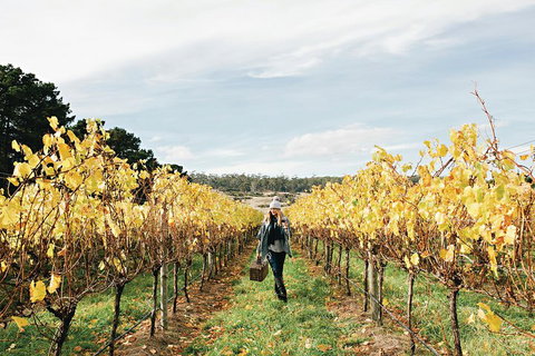 One-Way East Coaster - Accommodation Adelaide 1