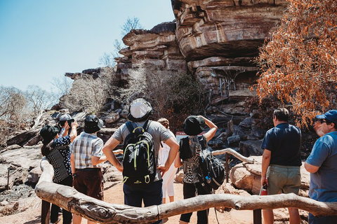 Kakadu Full-Day Tour From Darwin With Lunch - Accommodation Adelaide 1