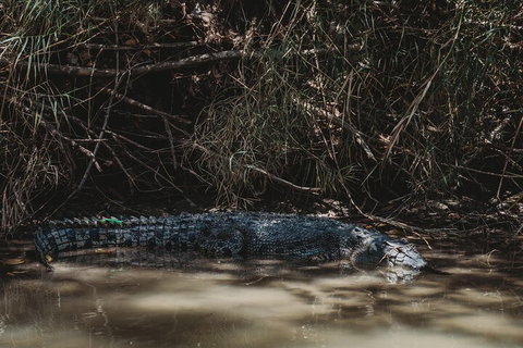Kakadu Full-Day Tour From Darwin With Lunch - Accommodation Adelaide 4
