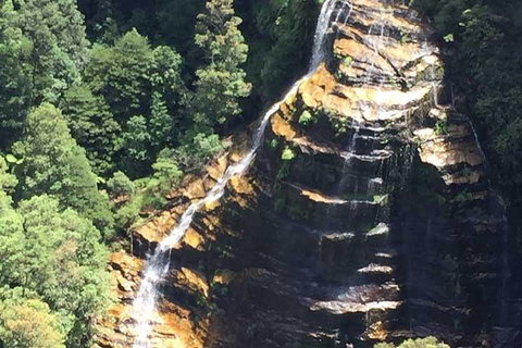 Private Blue Mountains Tour With Kangaroo And Koala Experience - Accommodation Adelaide 5