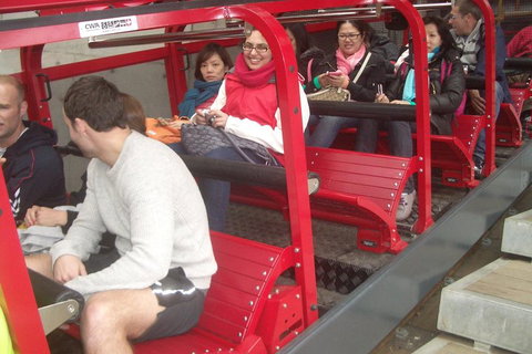 Full-Day Private Blue Mountains Tour With River Cruise - Accommodation Adelaide 0