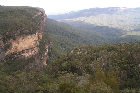 Full-Day Private Blue Mountains Tour With River Cruise - Accommodation Adelaide 3