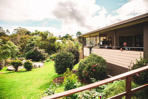 Full-day Springbrook National Park Tour From The Gold Coast - Accommodation Adelaide 2