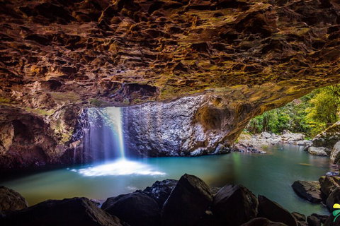 Full-day Springbrook National Park Tour From The Gold Coast - Accommodation Adelaide 3