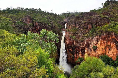 Ethical Adventures - Best In The WET - Litchfield / Kakadu 3 Day- Max 10 Guests - Accommodation Adelaide 2