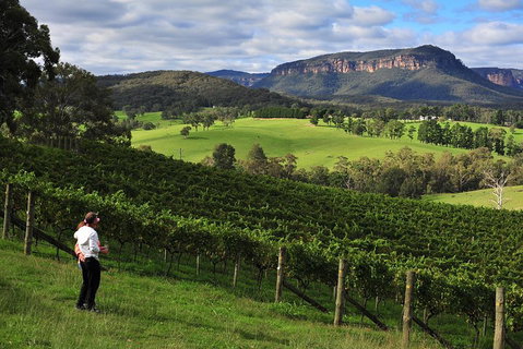 Private Blue Mountains And Winery Day-Trip From Sydney - Accommodation Adelaide 2