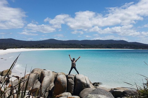 Tasmania 4 Day East Coast + Launceston - Accommodation Adelaide 1
