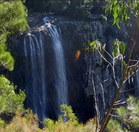 Byron Bay Hinterland Tour Including Rainforest Walk to Minyon Falls - Accommodation Adelaide