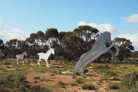 Wave Rock, Wild Flowers And Astro Photography - Accommodation Adelaide 5