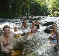 Daintree Rainforest Cape Tribulation Mossman Gorge Small-Group Day Tour - Accommodation Adelaide