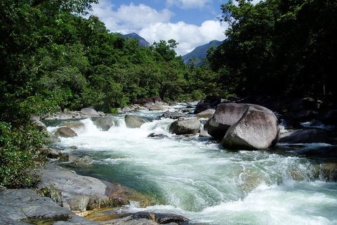 Daintree Rainforest, Cape Tribulation, Mossman Gorge Small-Group Day Tour - Accommodation Adelaide 5