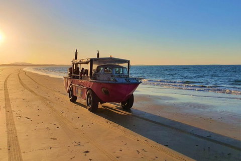 Town Of 1770 Afternoon Cruise - Accommodation Adelaide 1