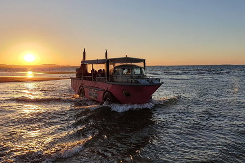 Town Of 1770 Afternoon Cruise - Accommodation Adelaide 3