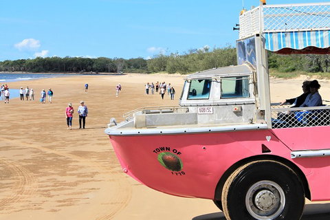 1770 Coastline Tour By LARC Amphibious Vehicle Including Picnic Lunch - Accommodation Adelaide 0