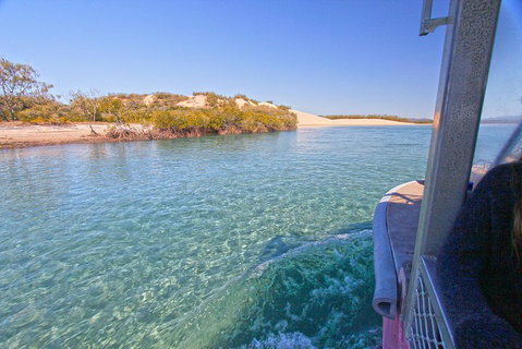 1770 Coastline Tour By LARC Amphibious Vehicle Including Picnic Lunch - Accommodation Adelaide 5