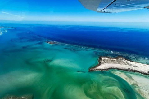 Wet Season Incredible Islands Tour - Horizontal Falls & Cygnet Bay Pearl Farm - Accommodation Adelaide 4