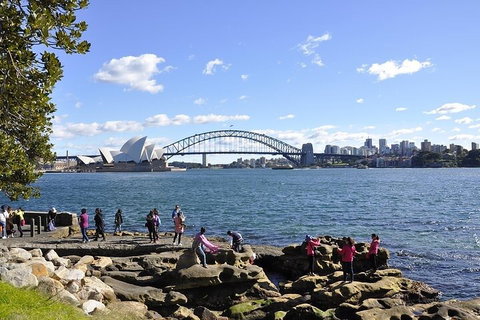 Sydney Sightseeing Bus Tours - Accommodation Adelaide 2
