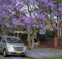 Sydney Secrets  Bondi Beach Private 4 Hr Morning with Personalised Sydney Tours - Accommodation Adelaide