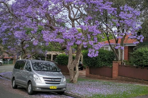 Sydney Secrets & Bondi Beach Private 4 Hr Morning With Personalised Sydney Tours - Accommodation Adelaide 0