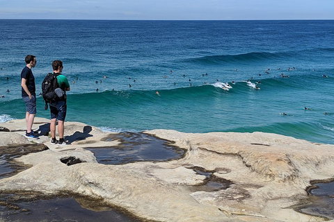 Sydney Secrets & Bondi Beach Private 4 Hr Morning With Personalised Sydney Tours - Accommodation Adelaide 2
