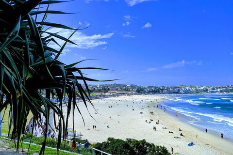 Sydney Secrets & Bondi Private 4 Hour Afternoon With 'Personalised Sydney Tours' - Accommodation Adelaide 0