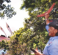 illi-Langi The Rocks Aboriginal Dreaming Tour - Accommodation Adelaide