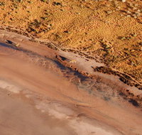 Scenic Flight Lizard Safari - Accommodation Adelaide