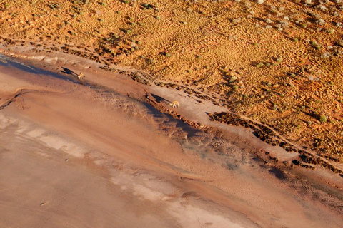 Scenic Flight: Lizard Safari - Accommodation Adelaide 0