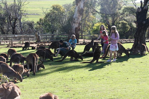 The Port Arthur MEGA Day Trip From Hobart - Accommodation Adelaide 5
