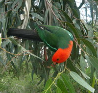3-Day Private Adelaide to Melbourne tour - Accommodation Adelaide