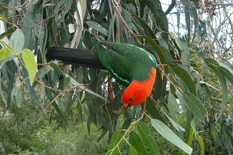 3-Day Private Adelaide To Melbourne Tour - Accommodation Adelaide 0