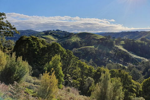 3-Day Adelaide To Melbourne Tour Including The Great Ocean Road - Accommodation Adelaide 5