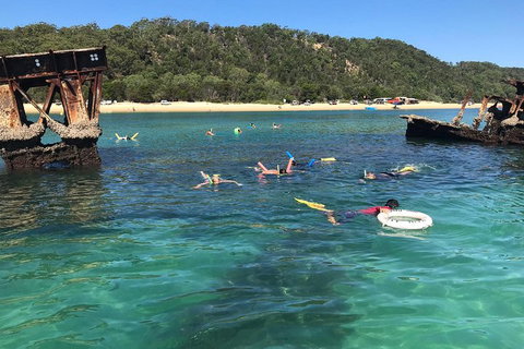 All Inclusive Dolphin And Tangalooma Wrecks Cruise - Accommodation Adelaide 0