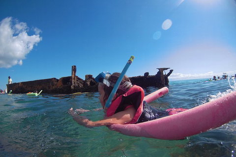 All Inclusive Dolphin And Tangalooma Wrecks Cruise - Accommodation Adelaide 2