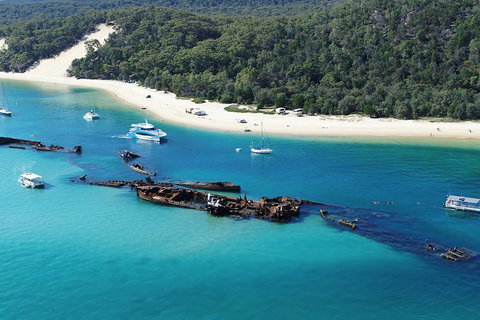 All Inclusive Dolphin And Tangalooma Wrecks Cruise - Accommodation Adelaide 4