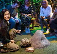 Sydney Taronga Zoo's Australian Animals Tour - Accommodation Adelaide
