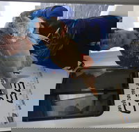 3/4 Day 7 Hour Offshore Fishing Charter - Accommodation Adelaide