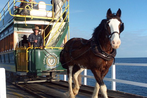 Full-Day Tour In South Australia Highlights - Accommodation Adelaide 1