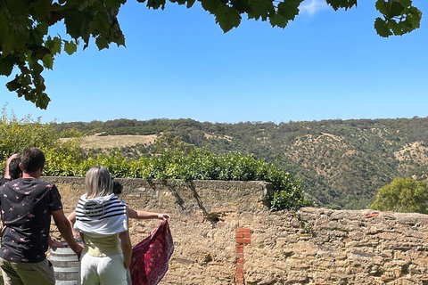 Private Mclaren Vale Wine Tour - Accommodation Adelaide 2