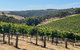 Private Mclaren Vale Wine Tour - thumb 3