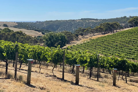 Private Mclaren Vale Wine Tour - Accommodation Adelaide 3