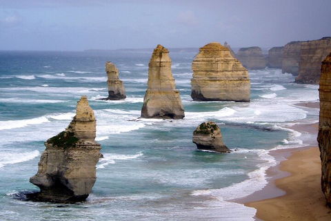 LGBT+ Friendly 2 Day Private Tour Great Ocean Road + Phillip Island - Accommodation Adelaide 0