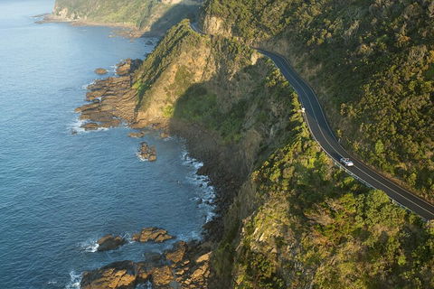 LGBT+ Friendly 2 Day Private Tour Great Ocean Road + Phillip Island - Accommodation Adelaide 4
